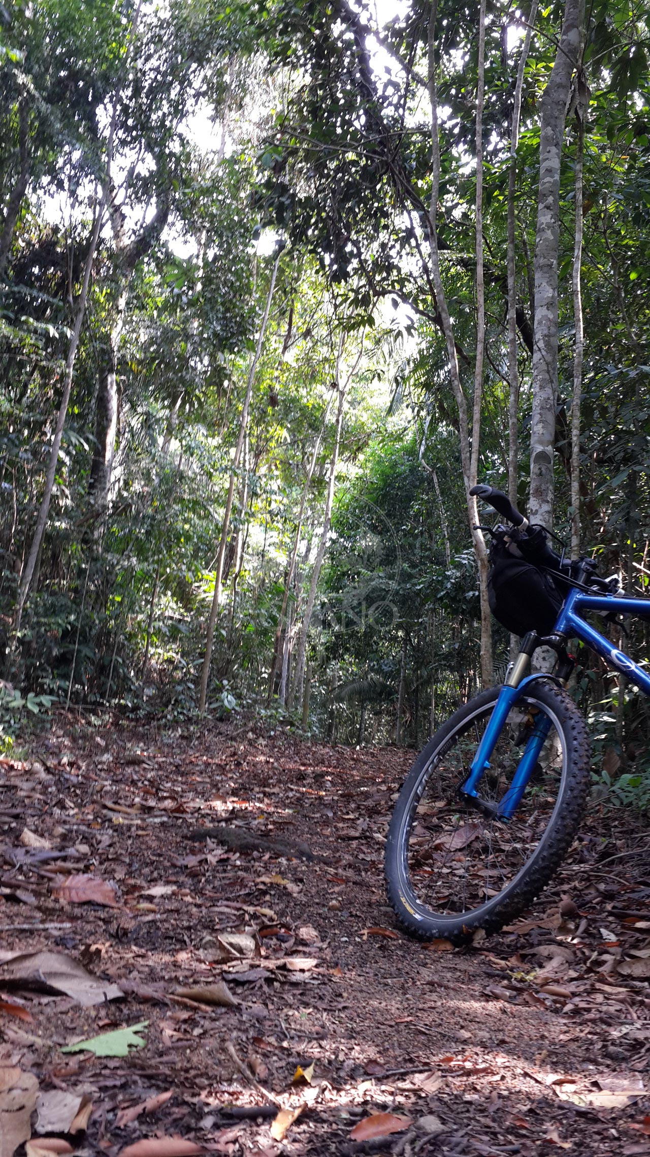 Cruza el bosque tropical en bici Hotel & Restaurante Parador del Gitano