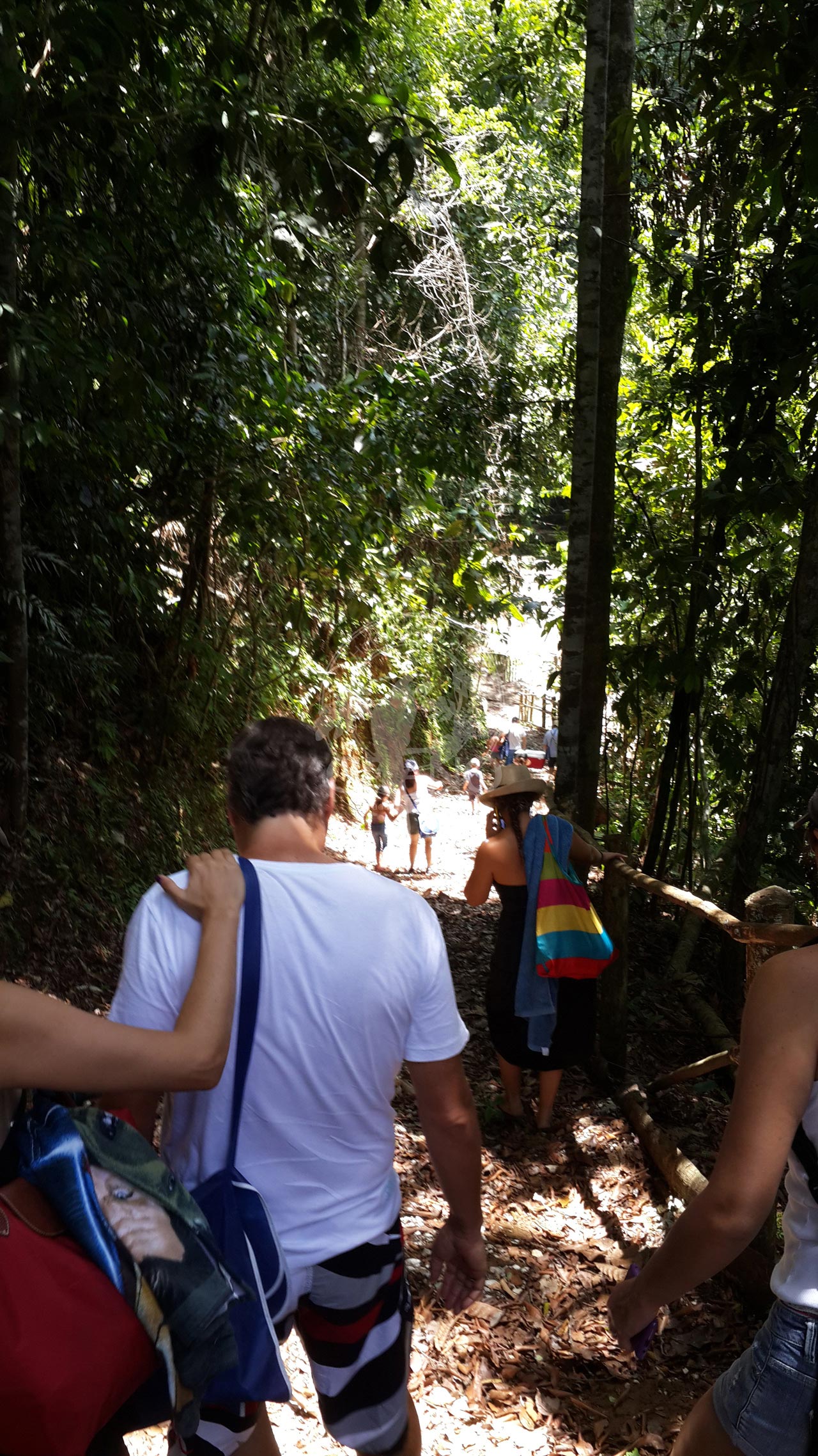 La expedición de bosques tropicales en familia sin falta… Hotel & Restaurante Parador del Gitano