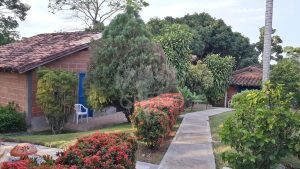 Un descanzo placentero entre bosque y fauna Hotel & Restaurante Parador del Gitano