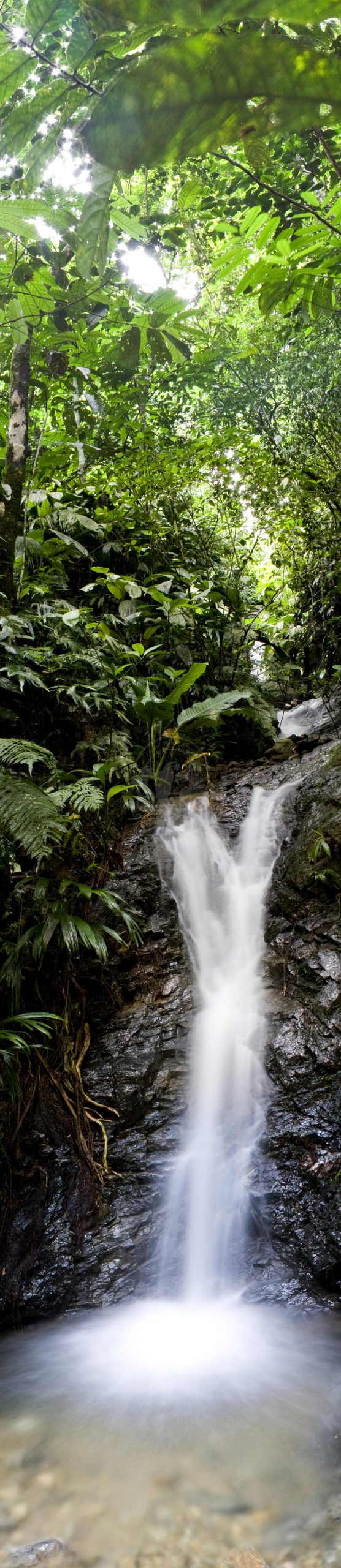 Descubre majestuosos manantiales - Hotel & Restaurante Parador del Gitano - Nápoles - Doradal - Rio claro