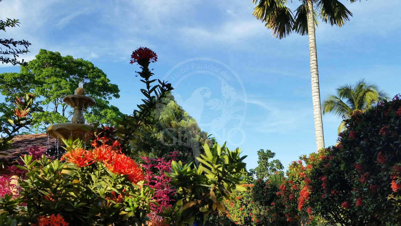 Días soleados, rodeados de naturaleza - Hotel & Restaurante Parador del gitano - Nápoles - Doradal - Rio claro