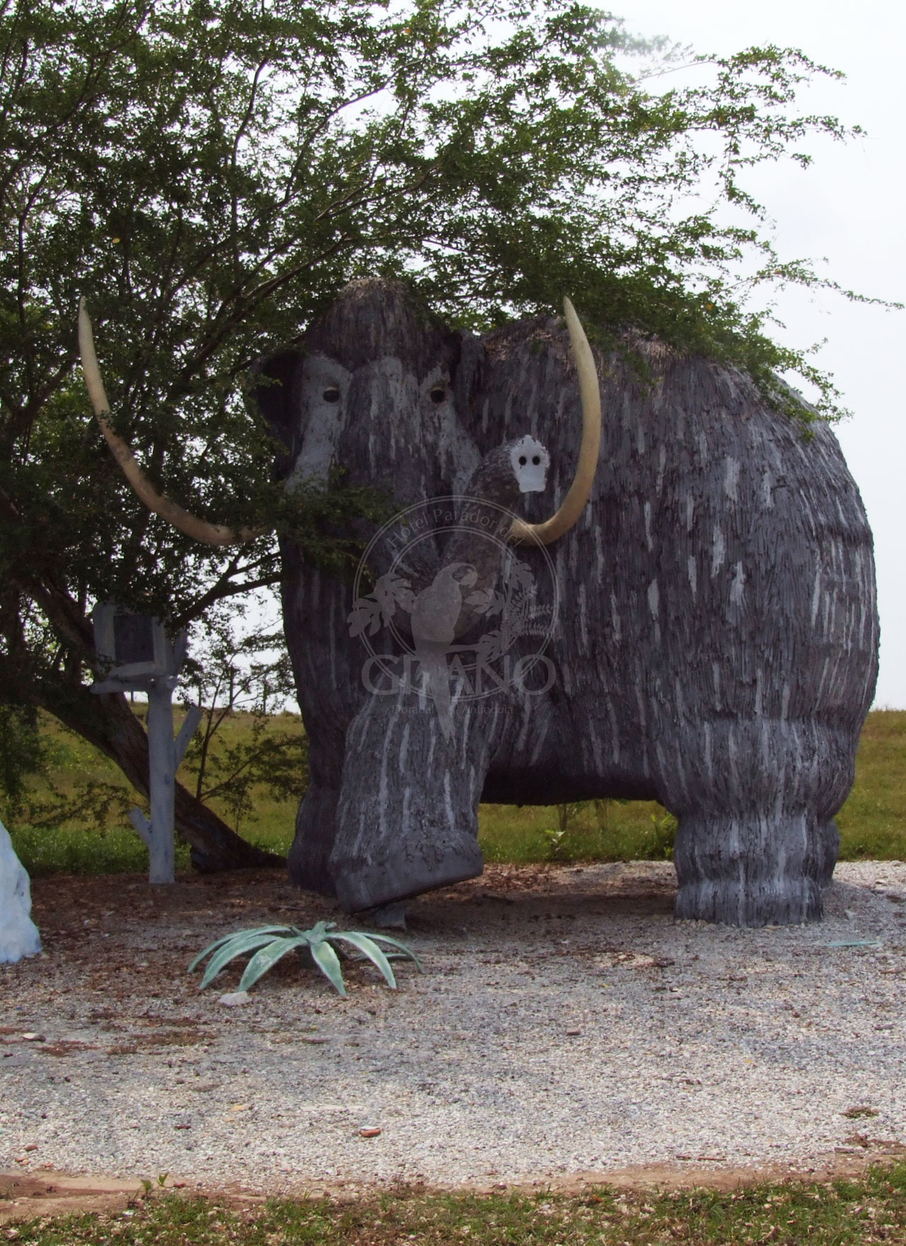 Encuentra milenarios mamuts - Parque Temático Hacienda Nápoles - Hotel & Restaurante Parador del Gitano - Nápoles - Doradal - Rio claro