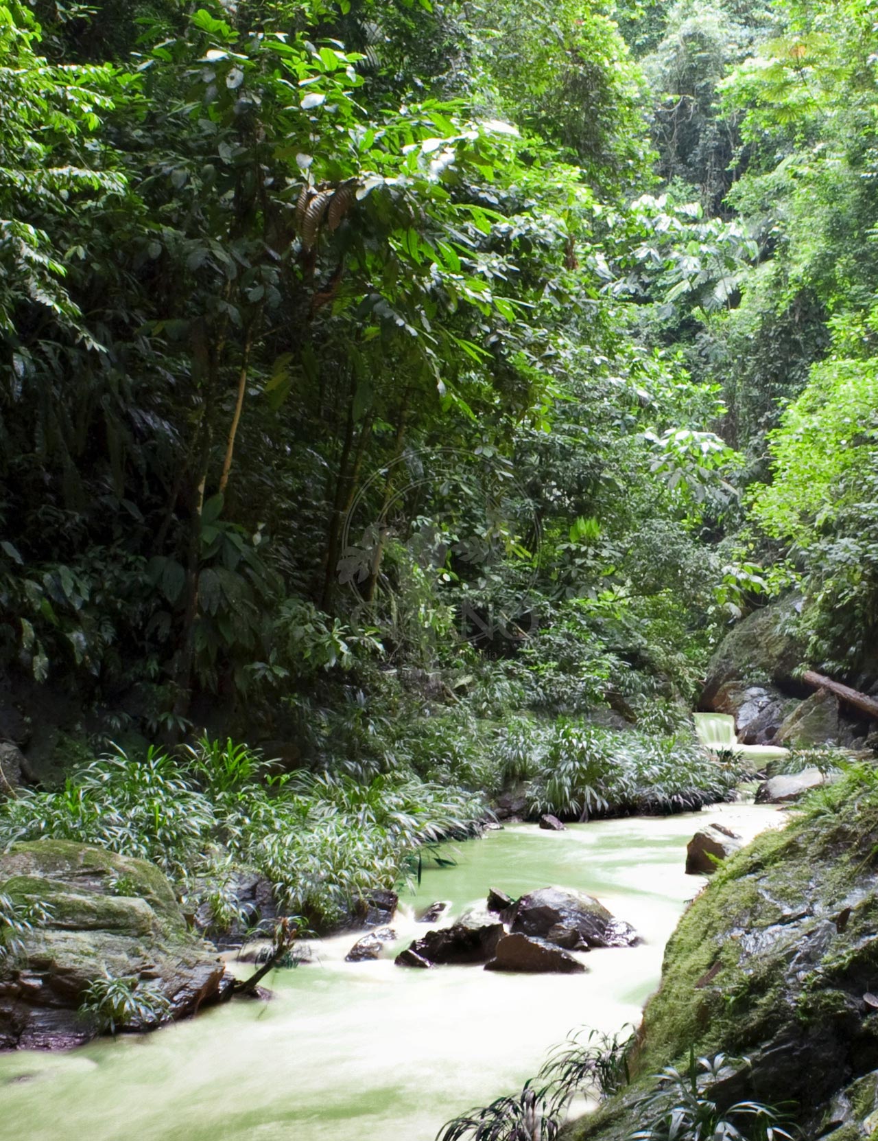 Expediciones inéditas - Hotel & Restaurante Parador del Gitano - Nápoles - Doradal - Rio claro