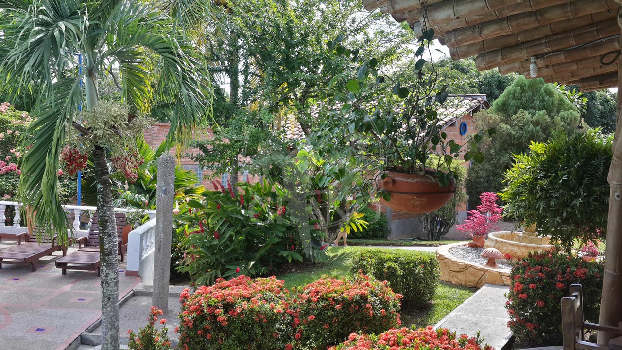 Un descanzo placentero entre bosque y fauna - Hotel & Restaurante Parador del Gitano - Nápoles - Doradal - Rio claro