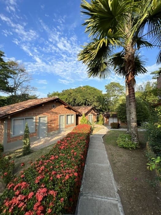 Habitación Estándar Doble Hotel Parador del Gitano